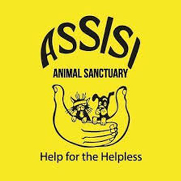 Assisi Logo